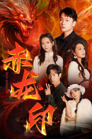 赤龙印（80集）在哪里看