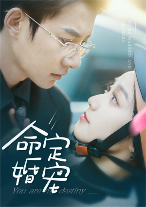 命定婚宠（61集）直接追到结尾