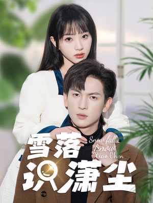 雪落识潇尘（80集）免费短剧完整版