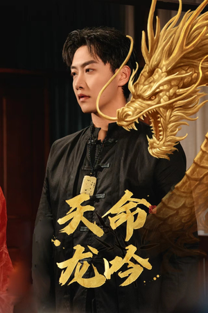 天命龙吟（48集）评价怎么样