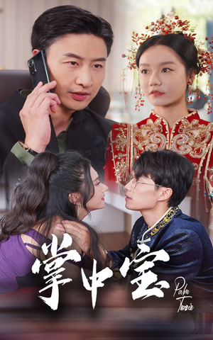 掌中宝(31集) 掌中宝(31集)精彩短剧抢先看