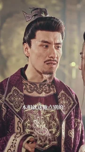 精忠报国（41集）爆火短剧推荐