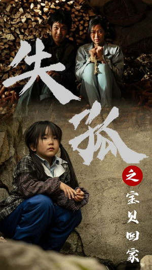 失孤之宝贝回家（71集）免费看短剧全集