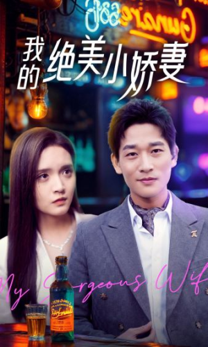 我的绝美小娇妻（80集）80到100集