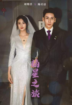 摘星之旅（88集）零花钱看整部剧