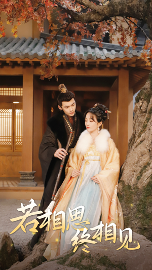 若相思,终相见(85集) 若相思,终相见(85集)视频在线看