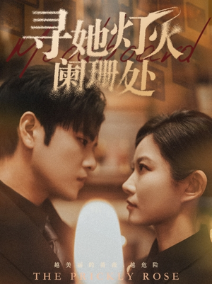 寻她灯火阑珊处(61集) 寻她灯火阑珊处(61集)古装短剧热播