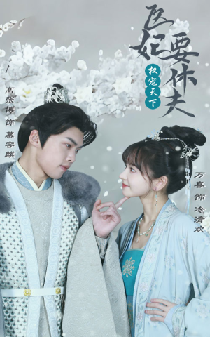 权宠天下：医妃要休夫（94集）精彩热门短剧