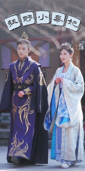 狂野小毒妃（87集）经典老剧免费看