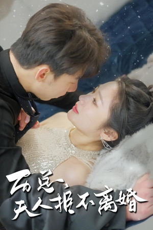 历总，夫人拒不离婚（61集）精彩短剧分享