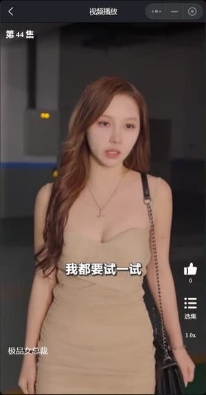 我的富豪美女总裁（我的极品女总裁）免费看