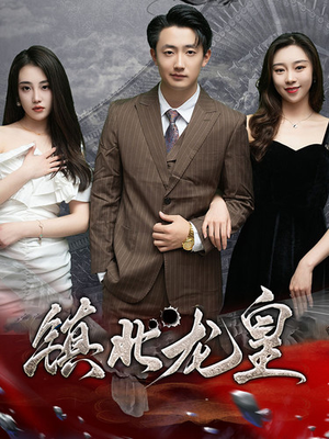 镇北龙帅（97集）流畅播放免费看