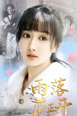 雨落花正开(62集) 雨落花正开(62集)零花钱看整部剧