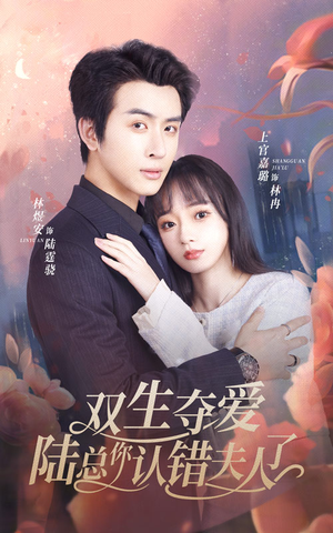 双生夺爱陆总你认错夫人了（94集）精彩短剧天天看