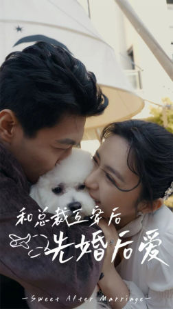 和总裁互穿后先婚后爱（60集）短剧推荐更新中