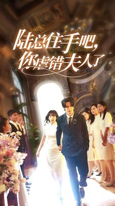 陆总住手吧，你虐错夫人了（80集）短剧热播抢先看