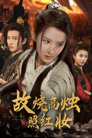 故烧高烛照红妆（62集）解说文案