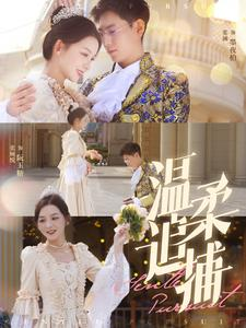 温柔追捕（89集）短剧在线更新