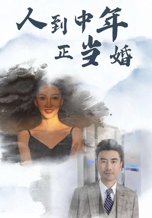 人到中年正当婚（81集）UC网盘在线看