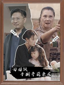 团圆饭手撕奇葩亲戚（40集）一共多少集