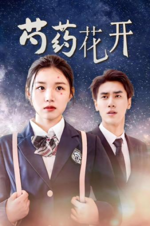 芍药花开（77集）古装短剧热播
