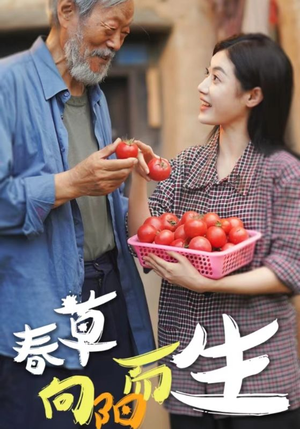 春草向阳而生（53集）百亿短剧抢先看
