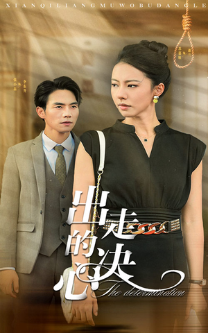 出走的决心（29集）全集免费看短剧