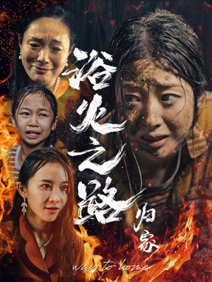 浴火之路归家(34集) 浴火之路归家(34集)一共多少集