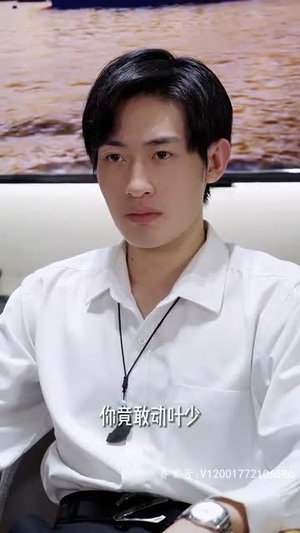 奇门傻婿（奇门神婿）看到了大结局