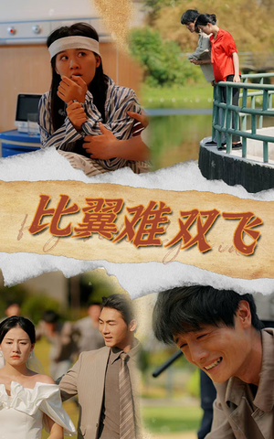 比翼难双飞（30集）网络小短剧