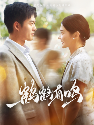 鹤鹤有鸣（87集）精彩短剧随心推