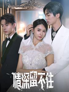 情深留不住（80集）熬夜追短剧