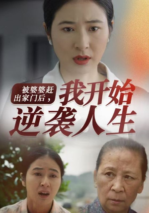 被婆婆赶出家门后我开始逆袭人生（83集）精彩短剧片段