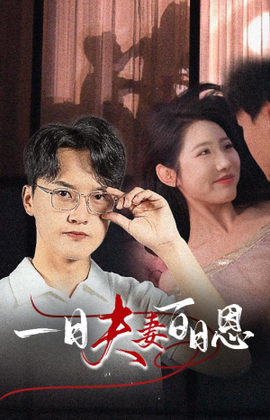 一日夫妻百日恩（30集）零花钱看整部剧