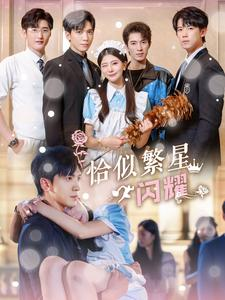 恰似繁星闪耀（74集）迅雷网盘观看