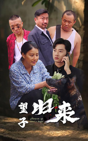 望子归来（50集）好看短剧看不停