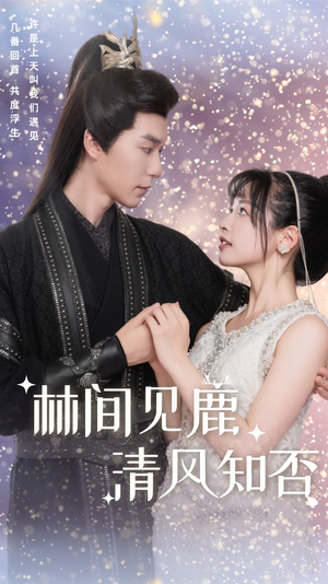 林间见鹿清风知否（62集）短剧中追到爽