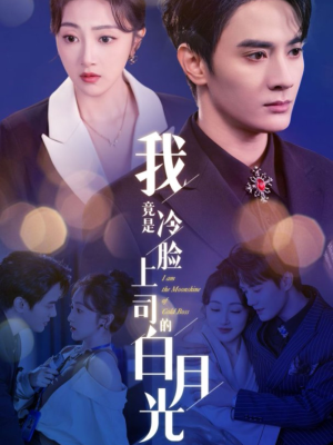我竟是冷脸上司的白月光（80集）精彩短剧片段