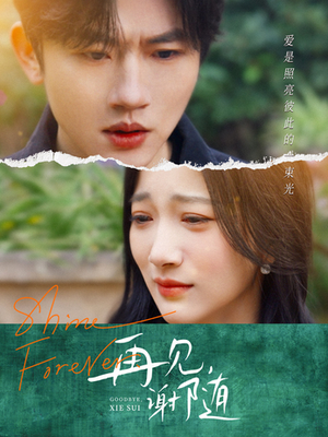 再见谢随（30集）免费短剧片段