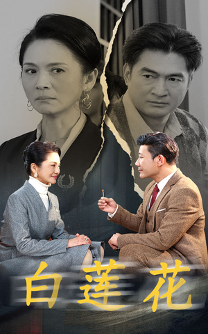 白莲花（40集）免费全集短剧