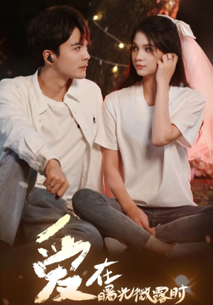 爱在曙光微露时（49集）好看短剧分享