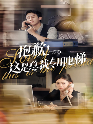 抱歉！这是总裁专用电梯（60集）经典老剧免费看