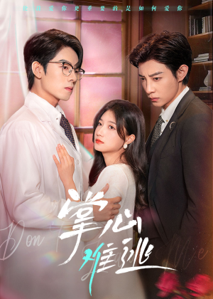 掌心难逃(63集) 掌心难逃(63集)全集免费观看