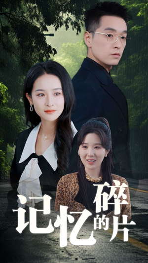 记忆的碎片（50集）免费观看全集