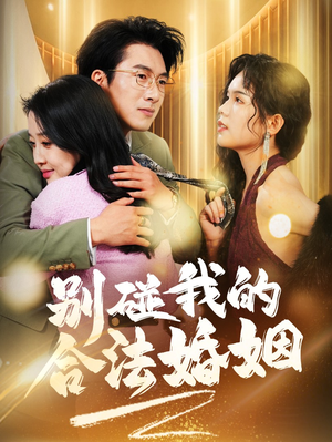 别碰我的合法婚姻（30集）免费短剧就是爽