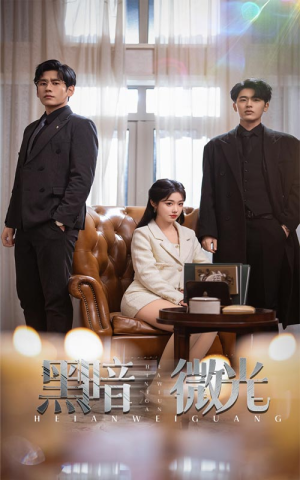 黑暗微光（66集）热门短剧追到爽