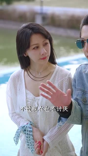 不再见爱人（32集）番茄短剧看全集