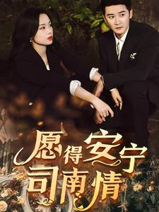 愿得安宁司南情（76集）夸克网盘观看