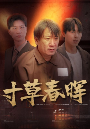 寸草春晖（31集）热门短剧抢先