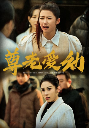 尊老爱幼（48集）热播古装短剧